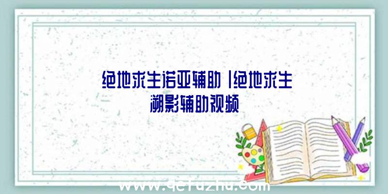 「绝地求生诺亚辅助」|绝地求生溯影辅助视频